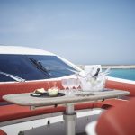 SUNSEEKER PREDATOR 92 _ (5)